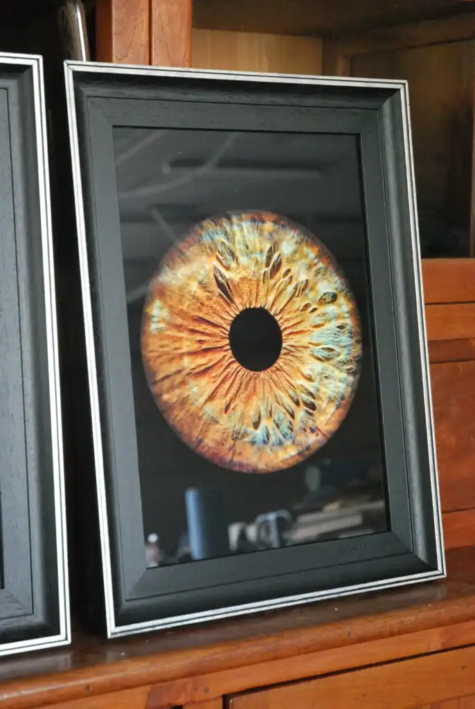 Eviart Frames, Eyes, photo frame, art frames, modern frame design.
