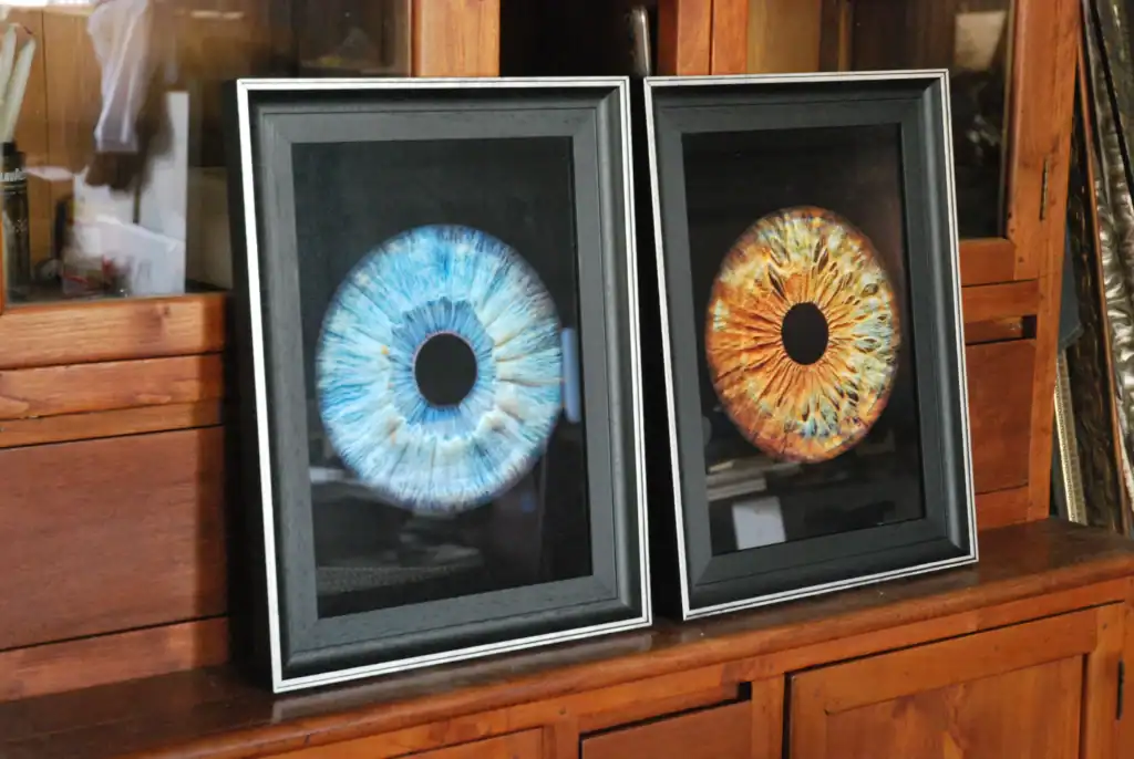 Finished works by Eviart Frames Eyes 4