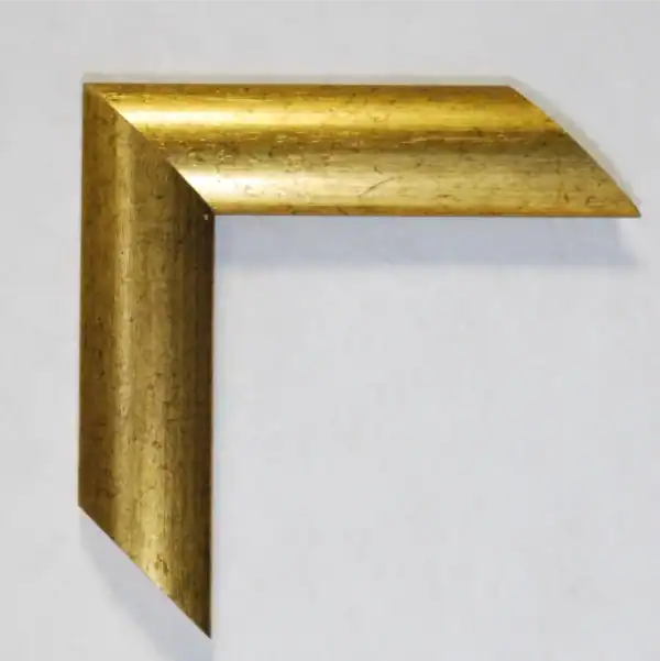 Eviart frames frame no 205