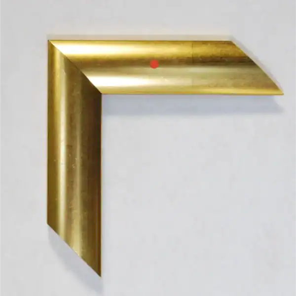 Eviart frames frame no.206