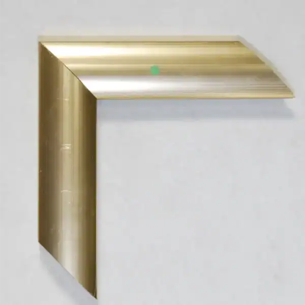 Eviart frames frame no 209