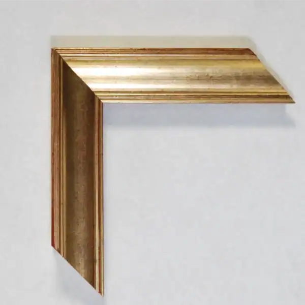 Eviart frames frame no 221