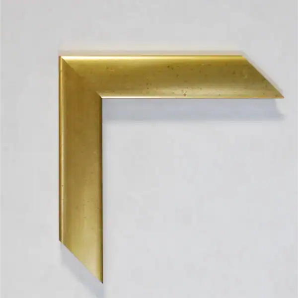 Eviart frames frame no 227