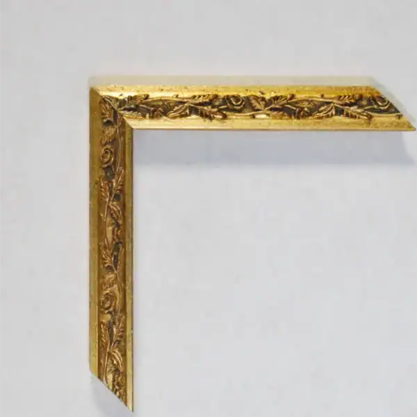 Eviart frames frame nr.270