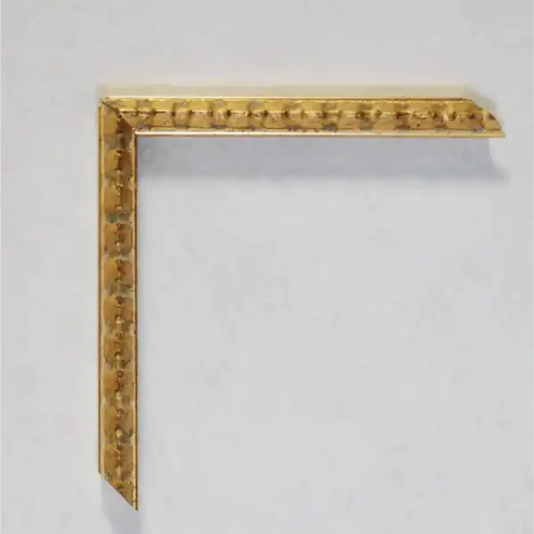 Eviart frames frame no 298
