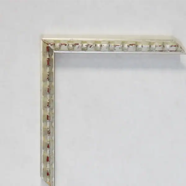 Eviart frames frame no.305