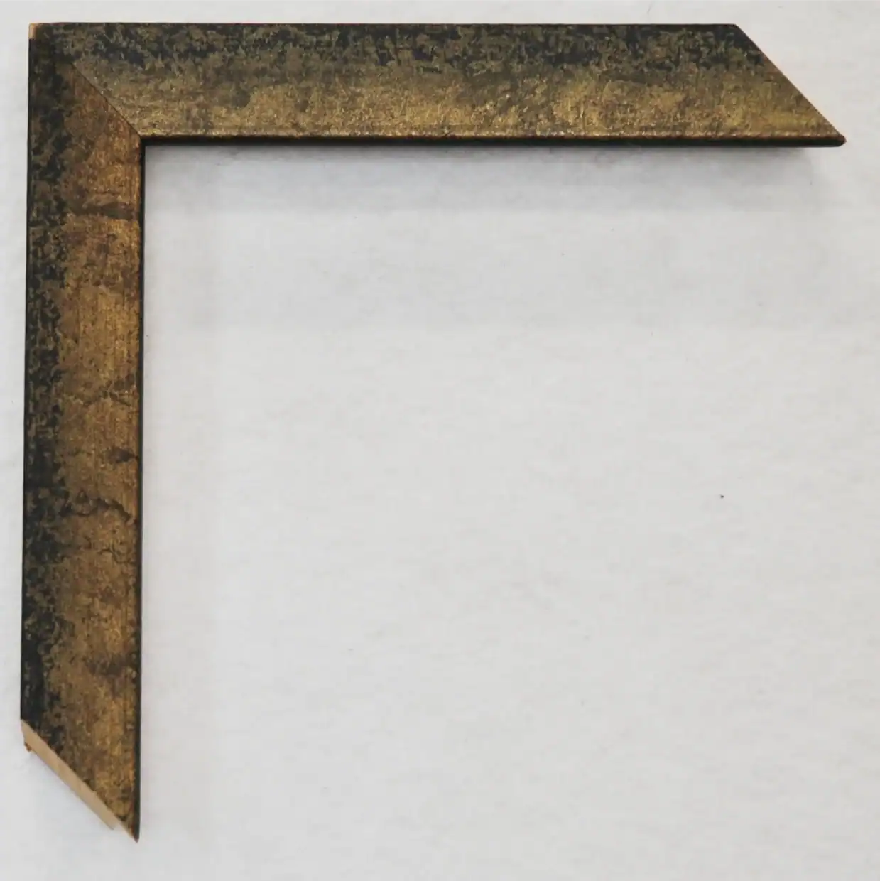 Eviart frames frame no.342