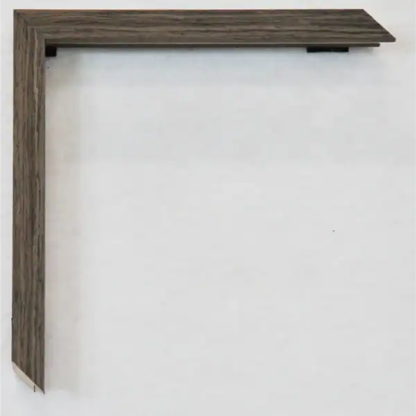 Eviart frames frame no 347