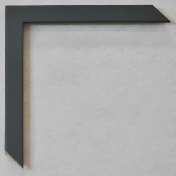 Eviart frames frame nr.352