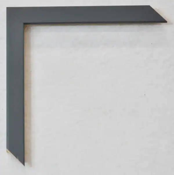Eviart frames rāmis nr.353