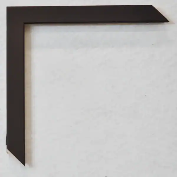 Eviart frames frame nr.355