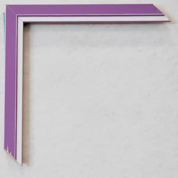 Eviart frames frame no 356