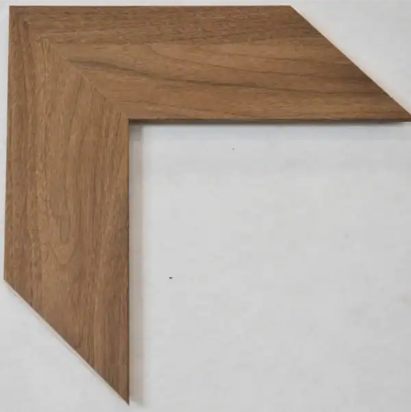 Eviart frames frame no 366